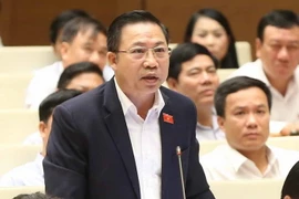 Đại biểu Lưu Bình Nhưỡng. (Ảnh: Doãn Tấn/TTXVN)