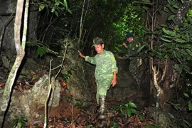 Ông Lê Hồng Binh, nhân viên tuần rừng ở Chốt Lũng Vai, Trạm kiểm lâm Bắc Vãng, Hạt kiểm lâm rừng đặc dụng Na Hang. (Ảnh: Văn Tý/TTXVN)