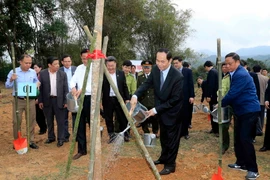 Chủ tịch nước Trần Đại Quang phát động "Tết trồng cây đời đời nhớ ơn Bác Hồ" tại xã Quân Bình, huyện Bạch Thông, tỉnh Bắc Kạn. (Ảnh: Nhan Sáng/TTXVN)