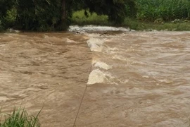 Ảnh minh họa. (Nguồn: TTXVN)