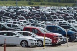 Ảnh minh họa. (Nguồn: globalnews)