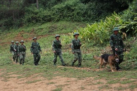 Chiến sỹ Đồn Biên phòng Huổi Luông thường xuyên tuần tra biên giới, giữ vững an ninh vùng biên. (Ảnh: Nguyễn Duy/TTXVN)