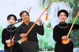 Các tiết mục nghệ thuật hát then-đàn tính của các đoàn tại Liên hoan nghệ thuật hát Then, đàn Tính các dân tộc Tày-Nùng-Thái toàn quốc lần thứ VI. (Ảnh: Thành Đạt/TTXVN) 