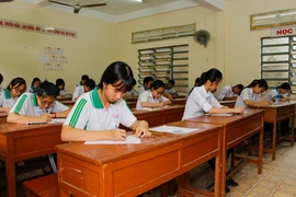 Ảnh minh họa. (Nguồn: TTXVN)