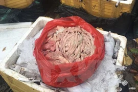 Bắt giữ xe tải vận chuyển trên 3 tạ sản phẩm động vật hôi thối 