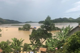 Nước thượng nguồn đổ về khiến 80% lúa và hoa màu của xã Nam Thượng, Nam Tân, Nam Trung của huyện Nam Đàn bị ngập nặng. (Ảnh: Bích Huệ/TTXVN)