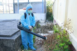 Nhân viên y tế phun thuốc để phòng chống dịch. (Nguồn: TTXVN)