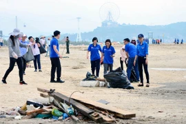 Đoàn viên thanh niên tình nguyện tham gia dọn sạch môi trường biển. (Ảnh: Văn Đức/TTXVN)