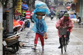 Ảnh minh họa. (Ảnh: Thành Đạt/TTXVN)