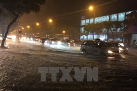 Ảnh minh họa. (Nguồn: TTXVN)