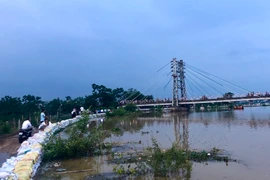 Một đoạn đê thuộc huyện Chương Mỹ được xếp bao cát chống tràn. (Ảnh: Minh Nghĩa/TTXVN)