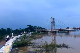 Một đoạn đê thuộc huyện Chương Mỹ được xếp bao cát chống tràn. (Ảnh: Minh Nghĩa/TTXVN)