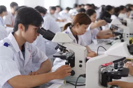 Giờ thực hành của sinh viên Đa khoa năm thứ hai, Trường Đại học Y Dược Cần Thơ. Ảnh minh họa. (Ảnh: Quý Trung/TTXVN)