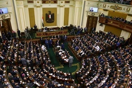 Quốc hội Ai Cập. (Nguồn: Reuters)
