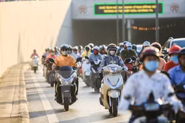 Ảnh minh họa. (Nguồn: Vietnam+)