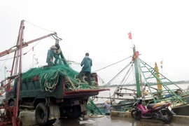 Ngư dân thị trấn Thịnh Long, huyện Hải Hậu, tỉnh Nam Định thu dọn ngư cụ về tránh bão. (Ảnh: Văn Đạt/TTXVN)