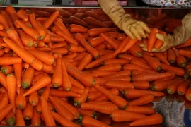 Cận cảnh 4 cơ sở tẩy rửa cà rốt bằng hóa chất vừa bị phát hiện