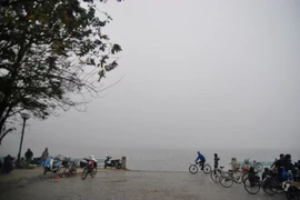 Ảnh minh họa. (Nguồn: Vietnam+)