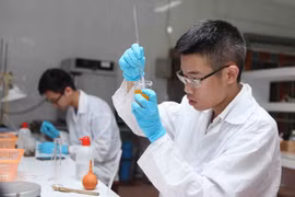 Đinh Quang Hiếu. (Ảnh: Quý Trung/TTXVN)