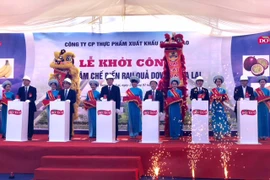 Lễ khởi công xây dựng Nhà máy chế biến rau quả Doveco Gia Lai. (Ảnh: Nguyễn Hằng/Vietnam+)