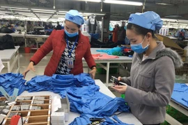 Ảnh minh họa. (Nguồn: TTXVN)