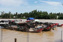 Tàu khai thác cát trái phép trên sông Cổ Chiên, Trà Vinh. (Nguồn: TTXVN phát)