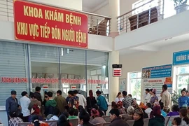 Ảnh minh họa. (Nguồn: TTXVN phát)