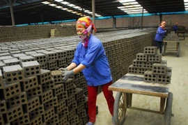 Ảnh minh họa. (Nguồn: TTXVN)