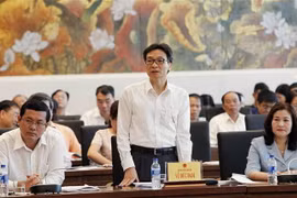 Phó Thủ tướng Chính phủ Vũ Đức Đam phát biểu. (Ảnh: Văn Điệp/TTXVN)