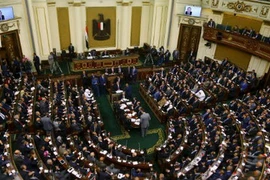 Quốc hội Ai Cập. (Nguồn: Reuters)