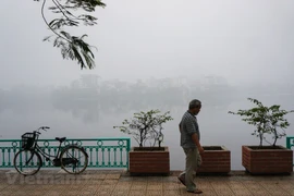 Ảnh minh họa. (Nguồn: Vietnam+)