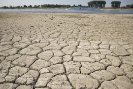 Cảnh khô hạn tại Lobith, Hà Lan ngày 2/8. (Nguồn: AFP/TTXVN)
