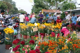 Người dân đi mua sắm hoa tết chiều 30 Tết. (Ảnh: Trần Thị Thu Hiền/TTXVN)