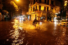 Ảnh minh họa. (Nguồn: TTXVN)