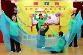 Tiết mục biểu diễn văn nghệ chào mừng tại liên hoa. (Ảnh: Tuấn-Nam/Vietnam+)