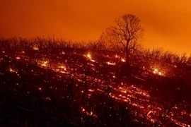 Lửa cháy rừng bốc dữ dội ở Clearlake Oaks, California, ngày 5/8. (Nguồn: AFP/ TTXVN)