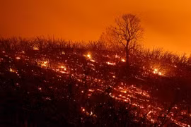 Lửa cháy rừng bốc dữ dội ở Clearlake Oaks, California, ngày 5/8. (Nguồn: AFP/ TTXVN)