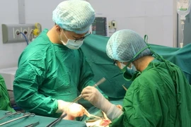 Ảnh minh họa. (Nguồn: TTXVN)