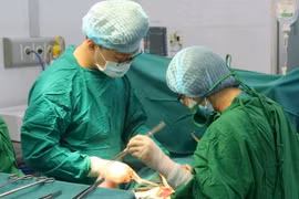 Ảnh minh họa. (Nguồn: TTXVN)