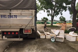 Tang vật và phương tiện tại cơ quan công an. (Ảnh: Hoa Mai/TTXVN)