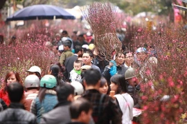 [Mega Story] Tết Việt - Nét đẹp xưa còn mãi trường tồn cùng thời gian