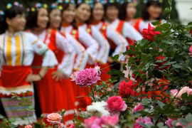 Hoa hồng khoe sắc trong Ngày hội Hoa hồng Bulgaria và Bạn bè lần thứ hai. (Ảnh: Thanh Tùng/TTXVN)