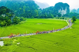 Ninh Bình tưng bừng khai mạc lễ hội truyền thống đền Thái Vi 