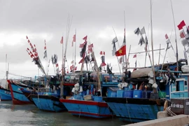 Tàu thuyền vào neo đậu tại cảng cá Cửa Sót huyện Lộc Hà, Hà Tĩnh để tránh trú áp thấp nhiệt đới gần bờ. (Ảnh Công Tường/TTXVN)