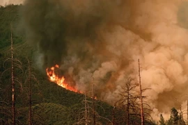 Khói lửa bốc lên từ đám cháy rừng ở vườn quốc gia Yosemite, bang California, Mỹ ngày 21/7. (Nguồn: AFP/TTXVN