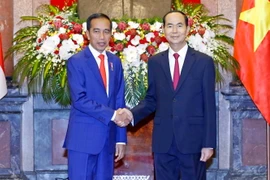 Chủ tịch nước Trần Đại Quang và Tổng thống Indonesia Joko Widodo tại lễ đón. (Ảnh: Nhan Sáng/TTXVN)