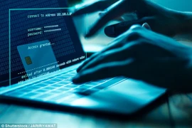 Ảnh minh họa. (Nguồn: Shutterstock)