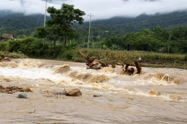 Ảnh minh họa. (Nguồn: TTXVN)