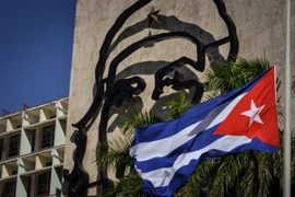 Ảnh minh họa. (Nguồn: AFP)