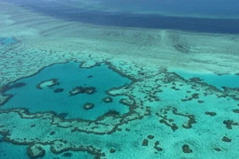 Toàn cảnh rạn san hô nổi tiếng Great Barrier. (Nguồn: AFP/TTXVN)
